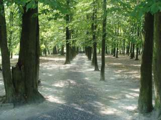 Széphalom 03.kép.jpg Széphalom 03.kép.jpg