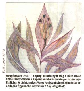 Zalai Hírlap 2008 11 03 256sz 16old - Bálványos István kiállítás.jpg Zalai Hírlap 2008 11 03 256sz 16old - Bálványos István kiállítás.jpg