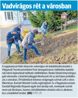 Zalai Hírlap 2025 03 11 059sz 16old - Vadvirágos rét a városban.jpg Zalai Hírlap 2025 03 11 059sz 16old - Vadvirágos rét a városban.jpg
